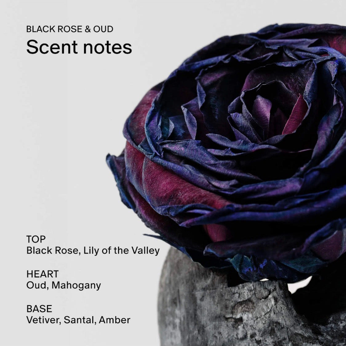 SALT & STONE | Black Rose & Oud Skin Softening Body Wash