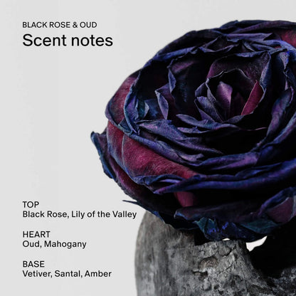 SALT & STONE | Black Rose & Oud Skin Softening Body Wash